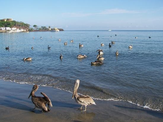 guayabitos-mexico